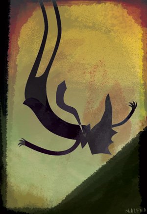 "Story Of Wolf"