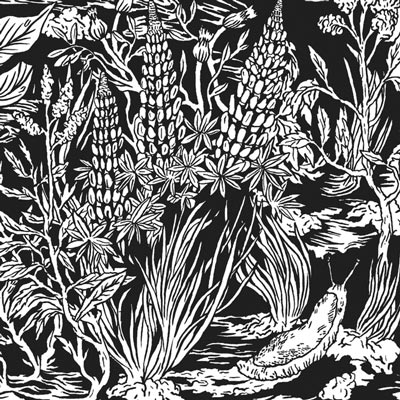 Wild-Strawberries-by-Eternal-Tapestry_FULL