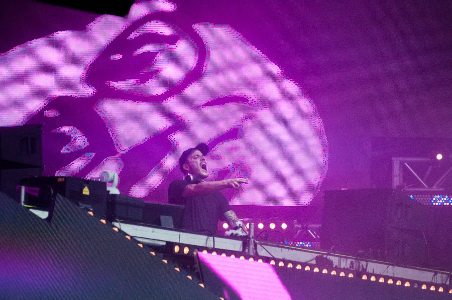 BroSafari-Lollapalooza