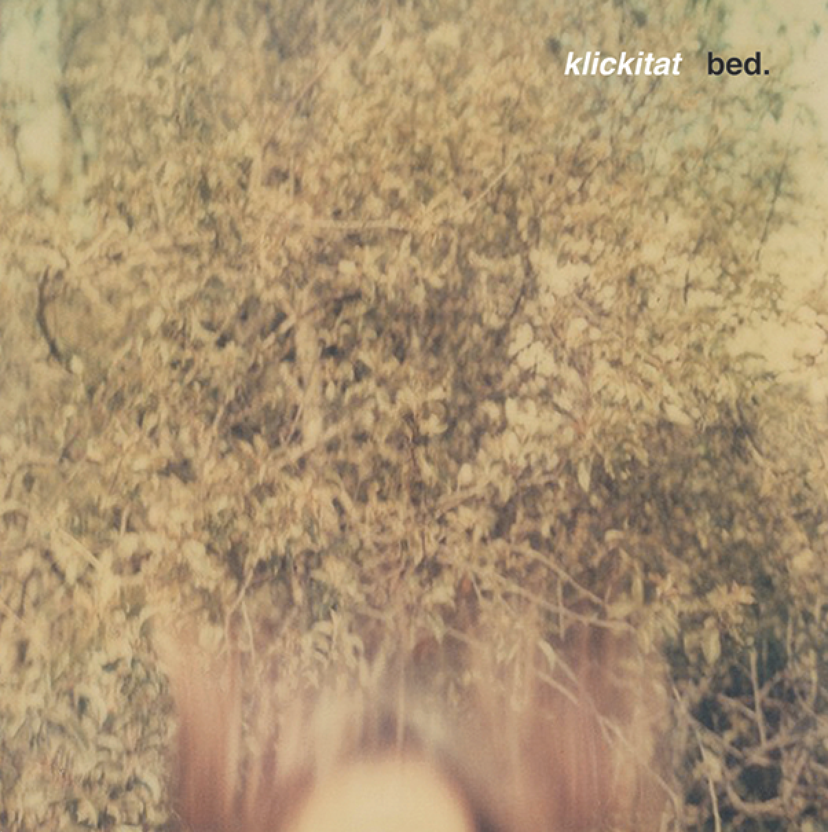 "For the garage-rock lover, the level of fuzz is a soothing hum, and with lyrics like “I wanna stay inside/ I wanna stay inside,” on EP highlight “Boys,” it’s difficult not to consider the suggestion."